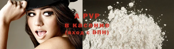 ALPHA PVP Чита