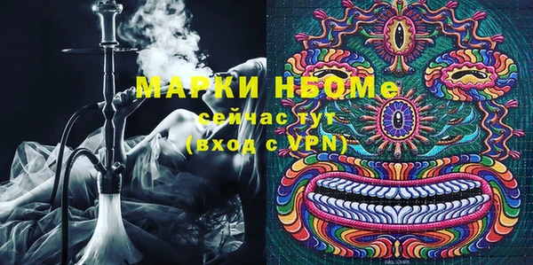 индика Кострома