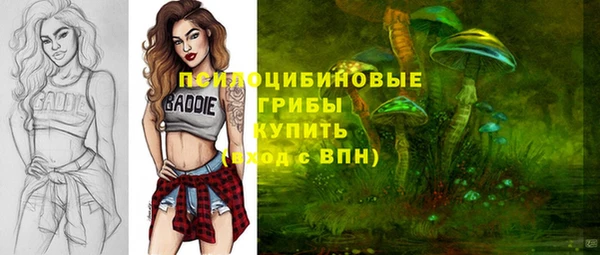 ALPHA PVP Чита