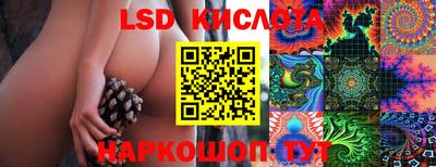 сатива Волгодонск