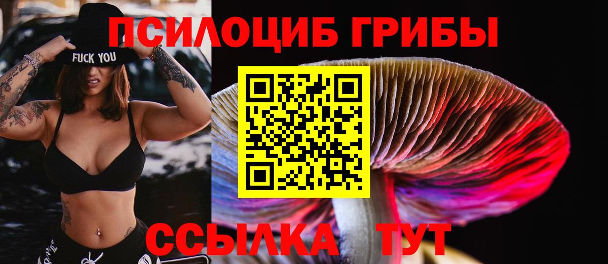 Псилоцибиновые грибы мицелий  Гусь-Хрустальный  Галлюциногенные грибы MAGIC MUSHROOMS 