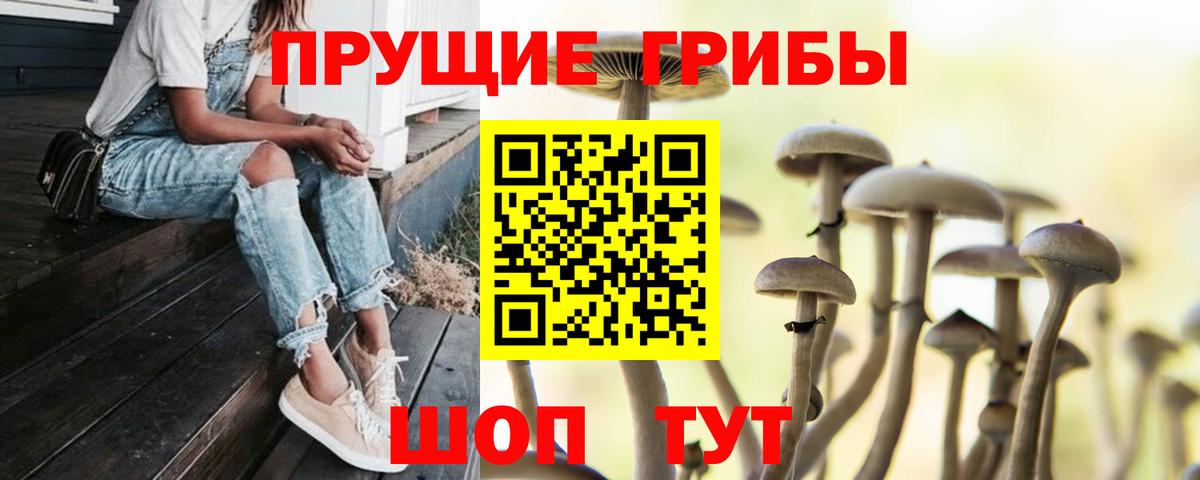 Псилоцибиновые грибы Psilocybine cubensis  Вход с VPN  Гусь-Хрустальный  Псилоцибиновые грибы мицелий 